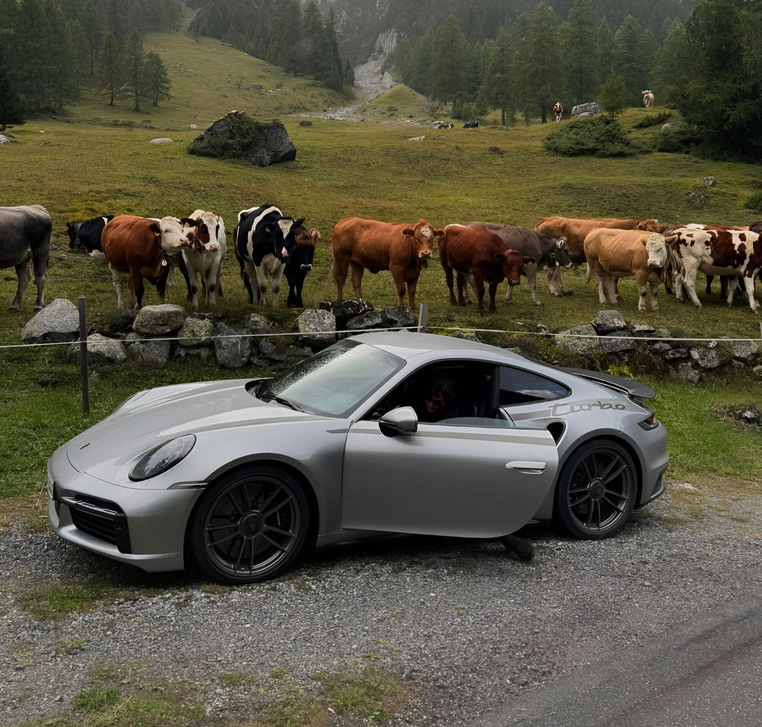 Путешествия